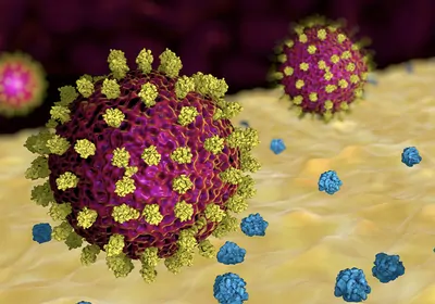 A New Multiplexed SARS-CoV-2 Serological Assay Using Advanced Flow Cytometry 